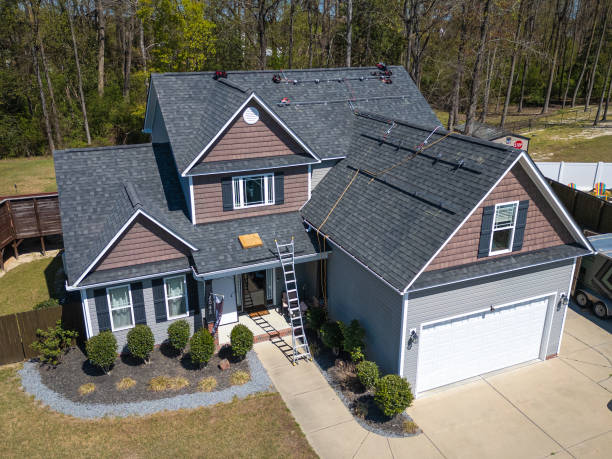 Roof Moss and Algae Removal in Cayuga, IN